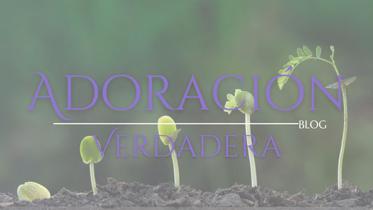 Lección #10 - Seremos como árbol plantado