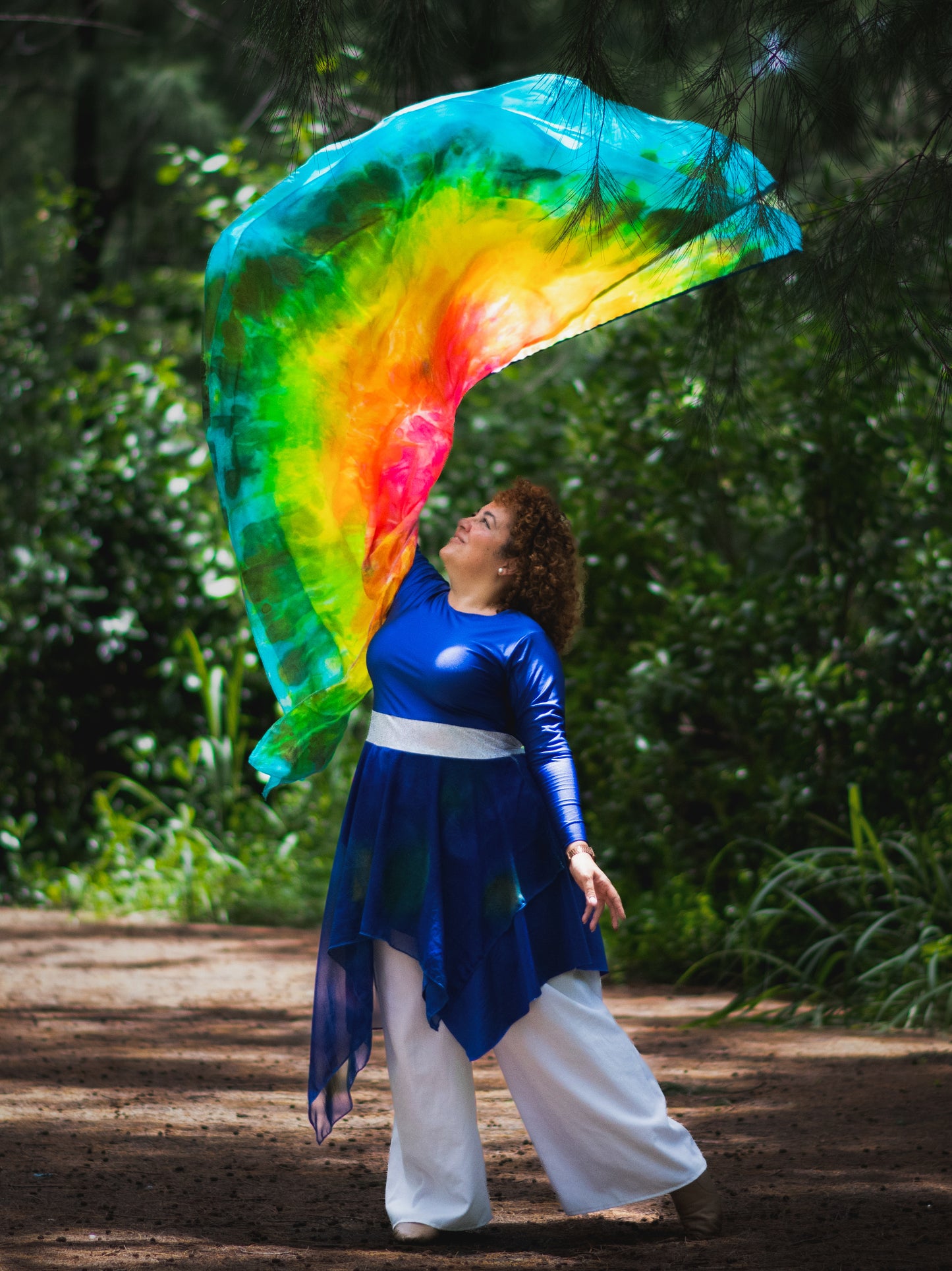 Banderas semicircular